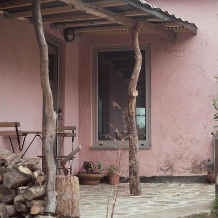 Cabana Do Dinamarques Em Arga De Baixo Esterno foto